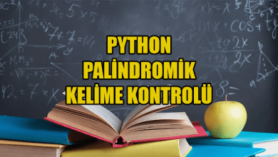 Photo of Python İle Palindromik Kelime Kontrolü