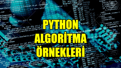 Photo of Lasa Sayı – Algoritma Örnekleri Python #2