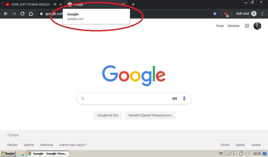 Google chrome sekme önizleme