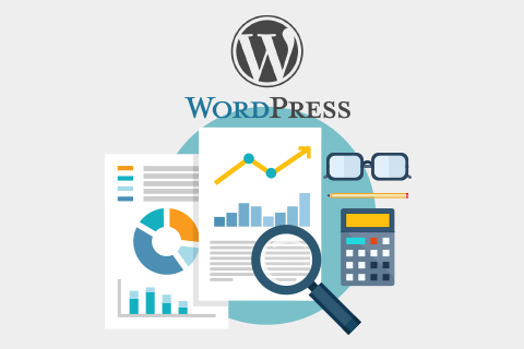 WordPress sayaç eklentisi nasıl kurulur