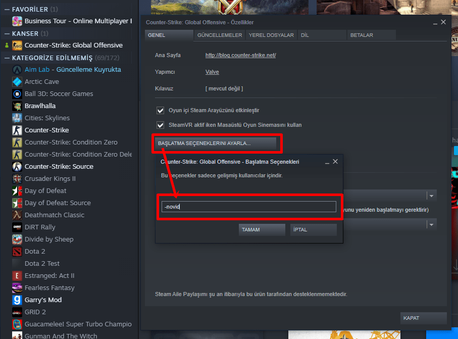 CS:GO başlatma seçenekleri 