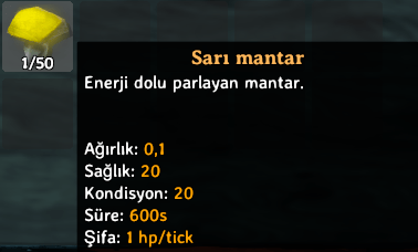 Valheim sarı mantar nerede bulunur