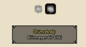 metin2 örümcek ağı